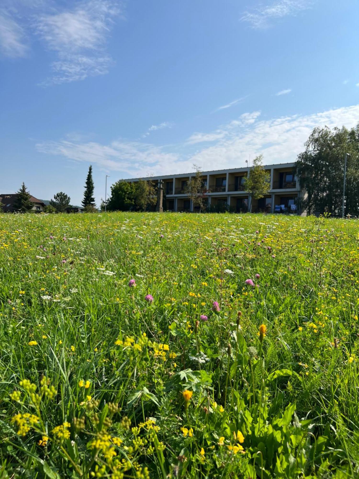Nivamare Hotell Luhačovice Exteriör bild